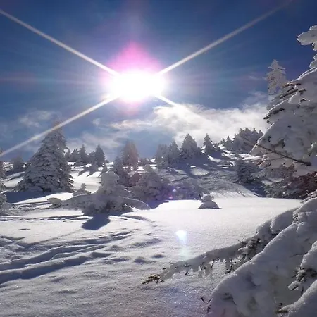 Kirchberg By Managers 公寓 蒂罗尔-基希贝格