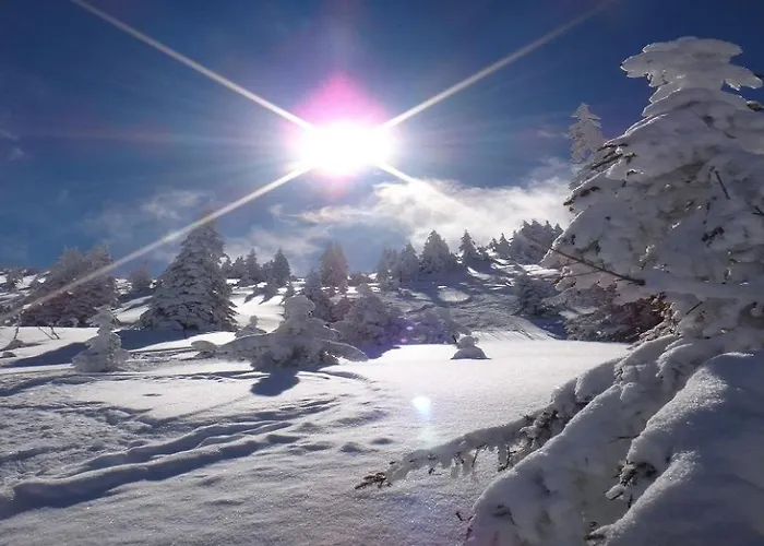 Kirchberg By Managers Apartament Kirchberg in Tirol